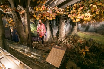 Detroit Historical Museum-63