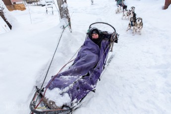 Dogsledding Munising - U.P. Winter - 2014 -9