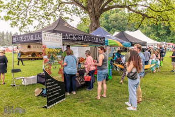 ArtBeerWine-EllaSharp-2025-57