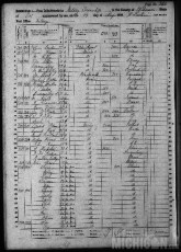 1860-census-with-andrew-luick-in-kelsey-california