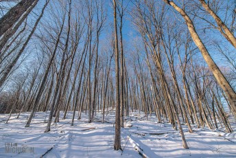 Fat-and-Flurious-2022-Stiggs-16