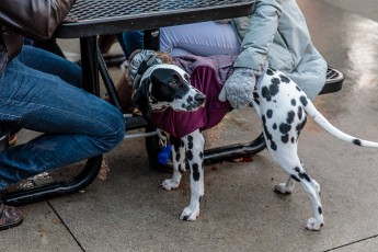Flapjack-and-Flannel-Festival-2019-70
