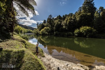 Forgotten-Highway-New-Zealand-12