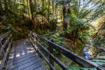 Forgotten-Highway-New-Zealand-21