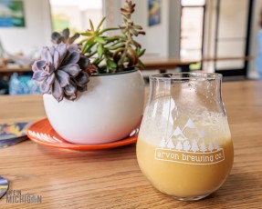 Grand-Rapids-Birthday-Beer-Run-2023-26