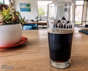 Grand-Rapids-Birthday-Beer-Run-2023-27