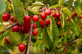 Grand-Traverse-Lighthouse-Keepers-102