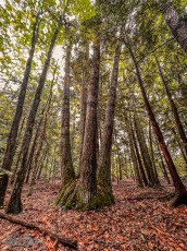 Grand-Traverse-Lighthouse-Keepers-106