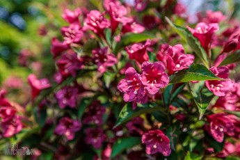 Grand-Traverse-Lighthouse-Keepers-13