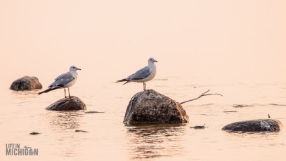 Grand-Traverse-Lighthouse-Keepers-38