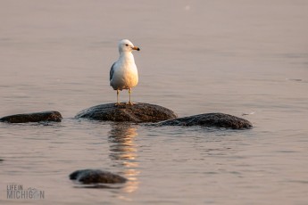 Grand-Traverse-Lighthouse-Keepers-39