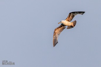 Grand-Traverse-Lighthouse-Keepers-40