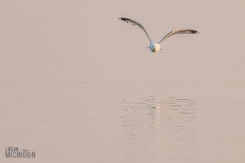 Grand-Traverse-Lighthouse-Keepers-43