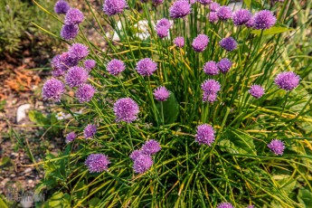 Grand-Traverse-Lighthouse-Keepers-9