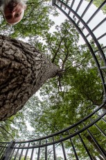 Grand-Traverse-Traverse-State-Hospital-5