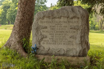 Grand-Traverse-Traverse-State-Hospital-59