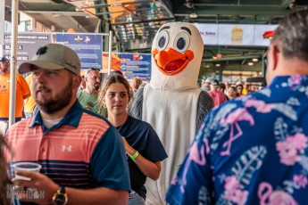 Great Lakes Beer Festival at Dow Diamond in Midland