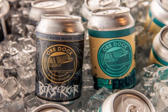 Great Lakes Beer Festival at Dow Diamond in Midland