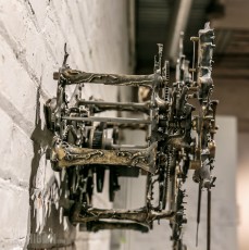 Growth and Decay - Eric Freitas - 2016-26