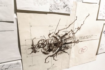 Growth and Decay - Eric Freitas - 2016-40