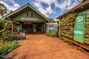 Hawaii-Kauai-Week1-2024-124