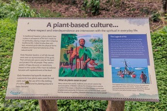 Hawaii-Kauai-Week1-2024-131