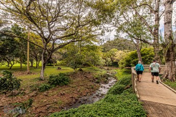 Hawaii-Kauai-Week1-2024-132