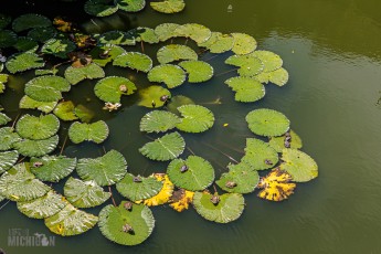 Hawaii-Kauai-Week1-2024-133