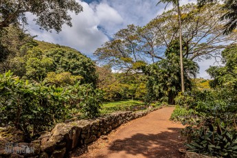 Hawaii-Kauai-Week1-2024-135
