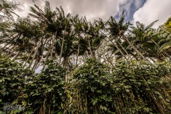 Hawaii-Kauai-Week1-2024-138