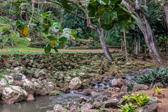 Hawaii-Kauai-Week1-2024-141