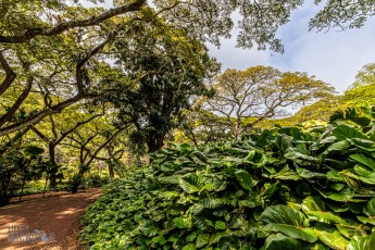 Hawaii-Kauai-Week1-2024-142