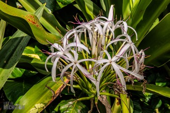 Hawaii-Kauai-Week1-2024-143