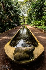Hawaii-Kauai-Week1-2024-145