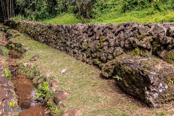 Hawaii-Kauai-Week1-2024-149