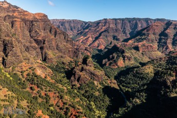 Hawaii-Kauai-Week1-2024-15