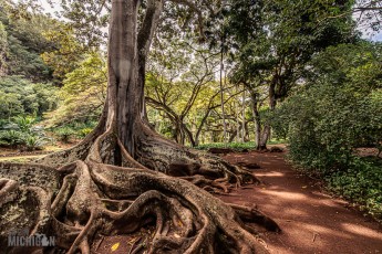 Hawaii-Kauai-Week1-2024-157