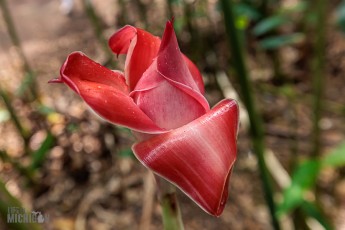 Hawaii-Kauai-Week1-2024-159