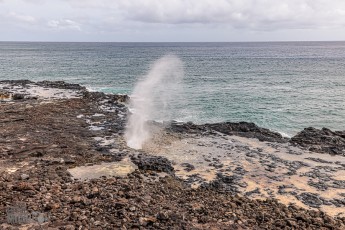 Hawaii-Kauai-Week1-2024-165