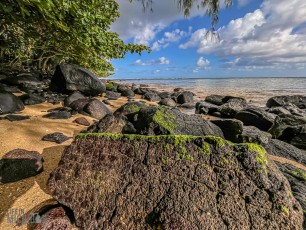 Hawaii-Kauai-Week1-2024-168
