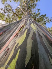 Hawaii-Kauai-Week1-2024-169