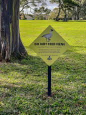 Hawaii-Kauai-Week1-2024-170