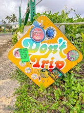 Hawaii-Kauai-Week1-2024-181