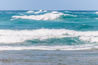 Hawaii-Kauai-Week1-2024-26