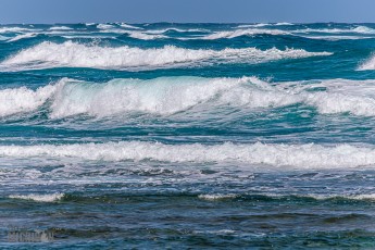 Hawaii-Kauai-Week1-2024-27