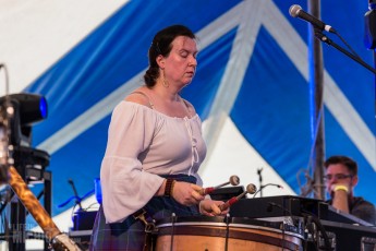 Highland Games - Livonia - 2015-22