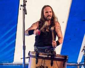 Highland Games - Livonia - 2015-24