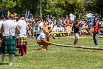 Highland Games - Livonia - 2015-33