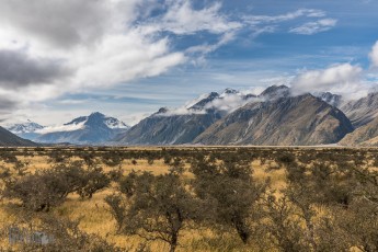 Hiking-New-Zealand-124