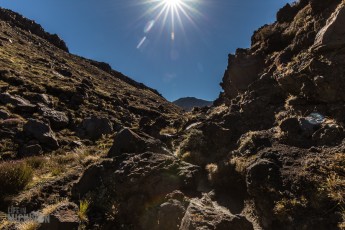 Hiking-New-Zealand-26